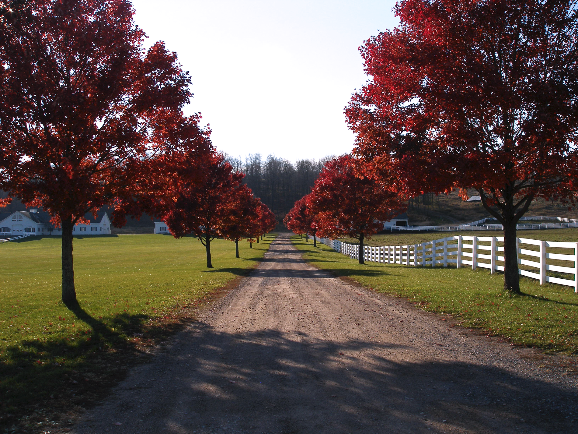 Maple Ridge Center